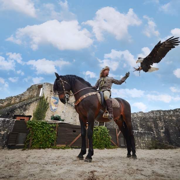 Les Aigles des Remparts à Provins Seine et Marne, Aux Vieux Remparts